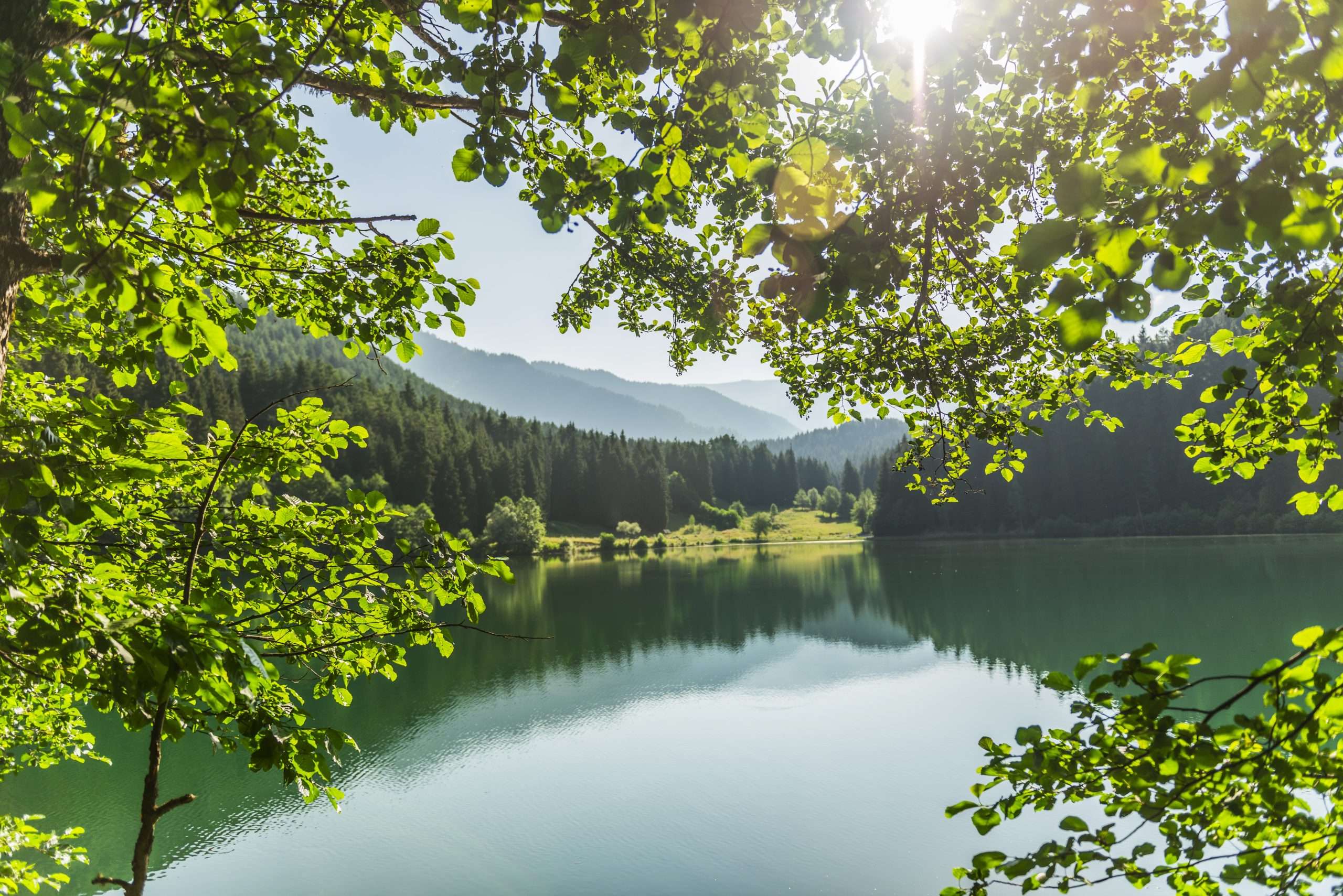 Reflections of a Coniferous Forest on a Black Lake,Artvin,Turkey.