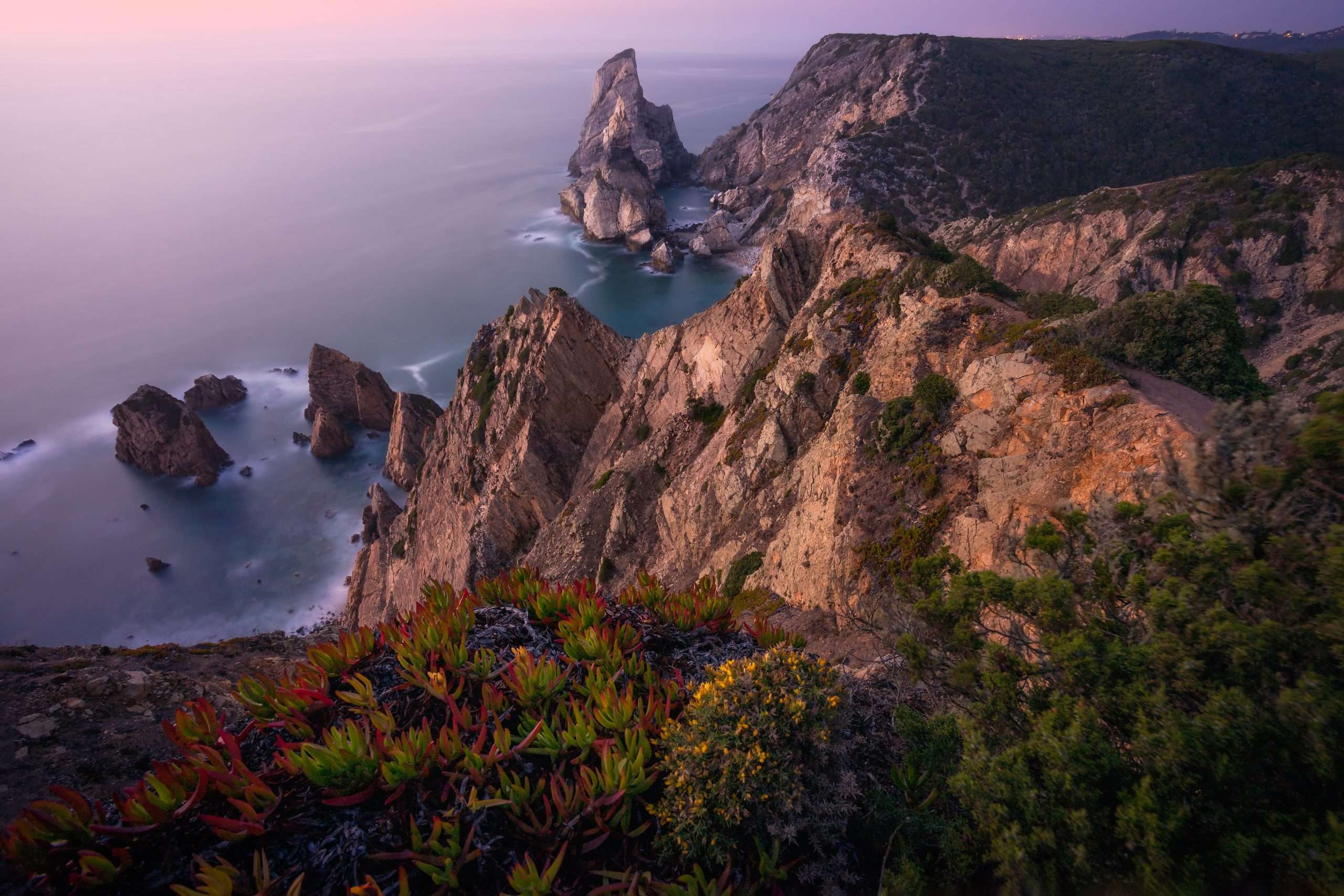 Praia da Ursa Beach. Rocky foreground with some yellow flowers in sunset lit. Surreal scenery located in Sintra, Portugal. Atlantic Ocean coastline landscape