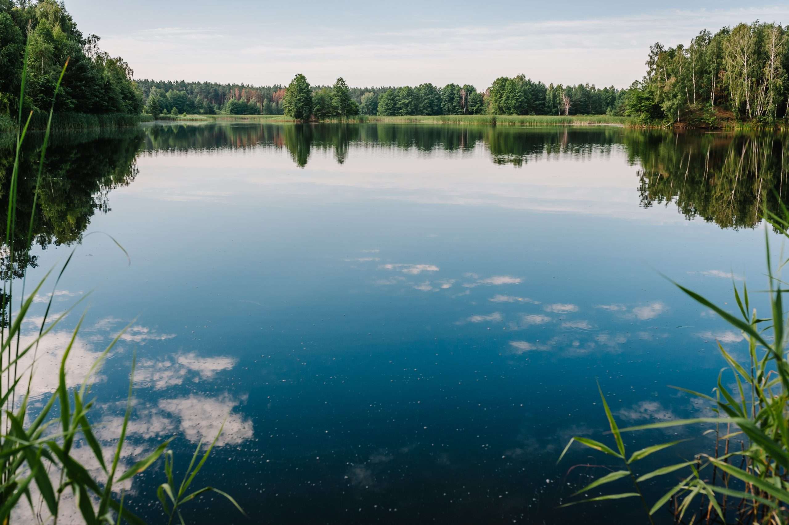 Tranquil landscape at a lake, with the vibrant blue sky, white c