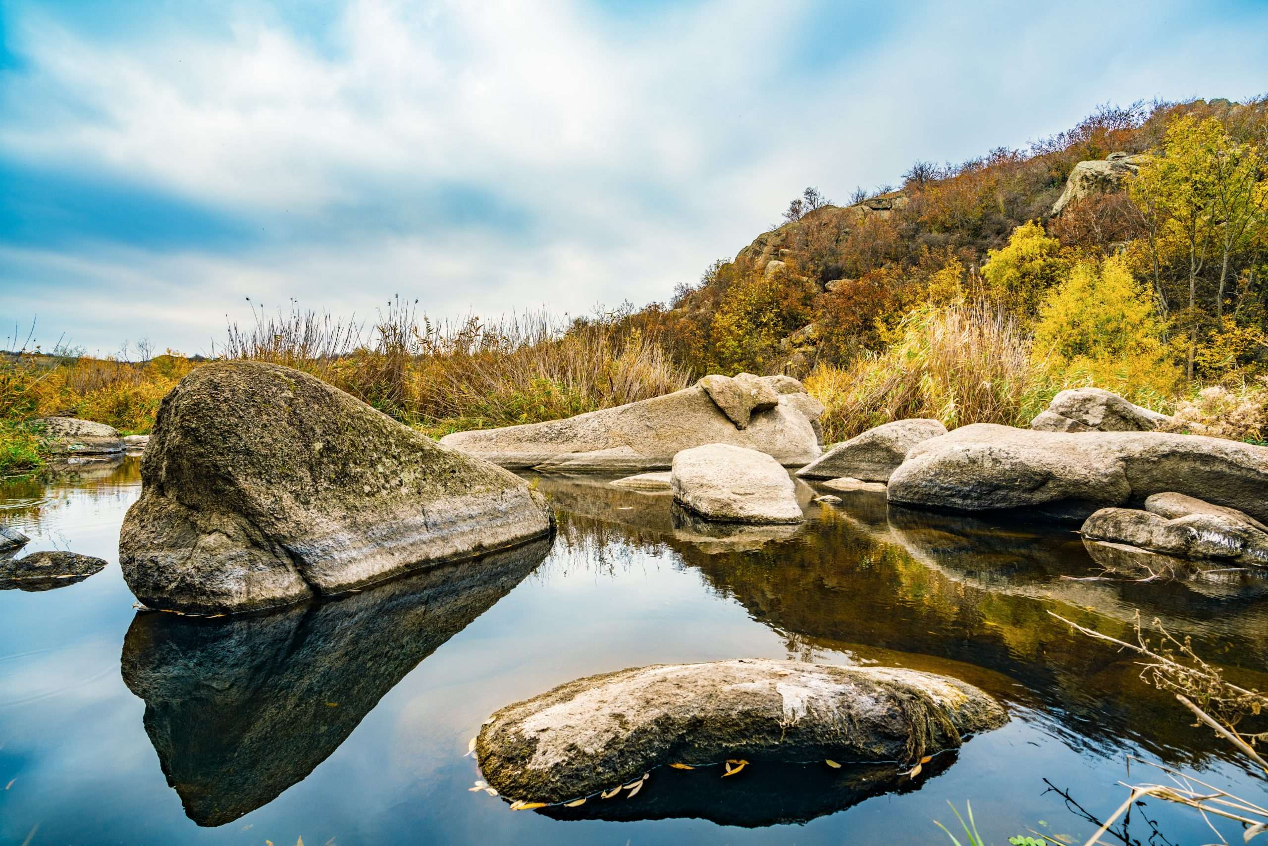 A fast clean stream runs among smooth wet stones surrounded by tall dry lumps