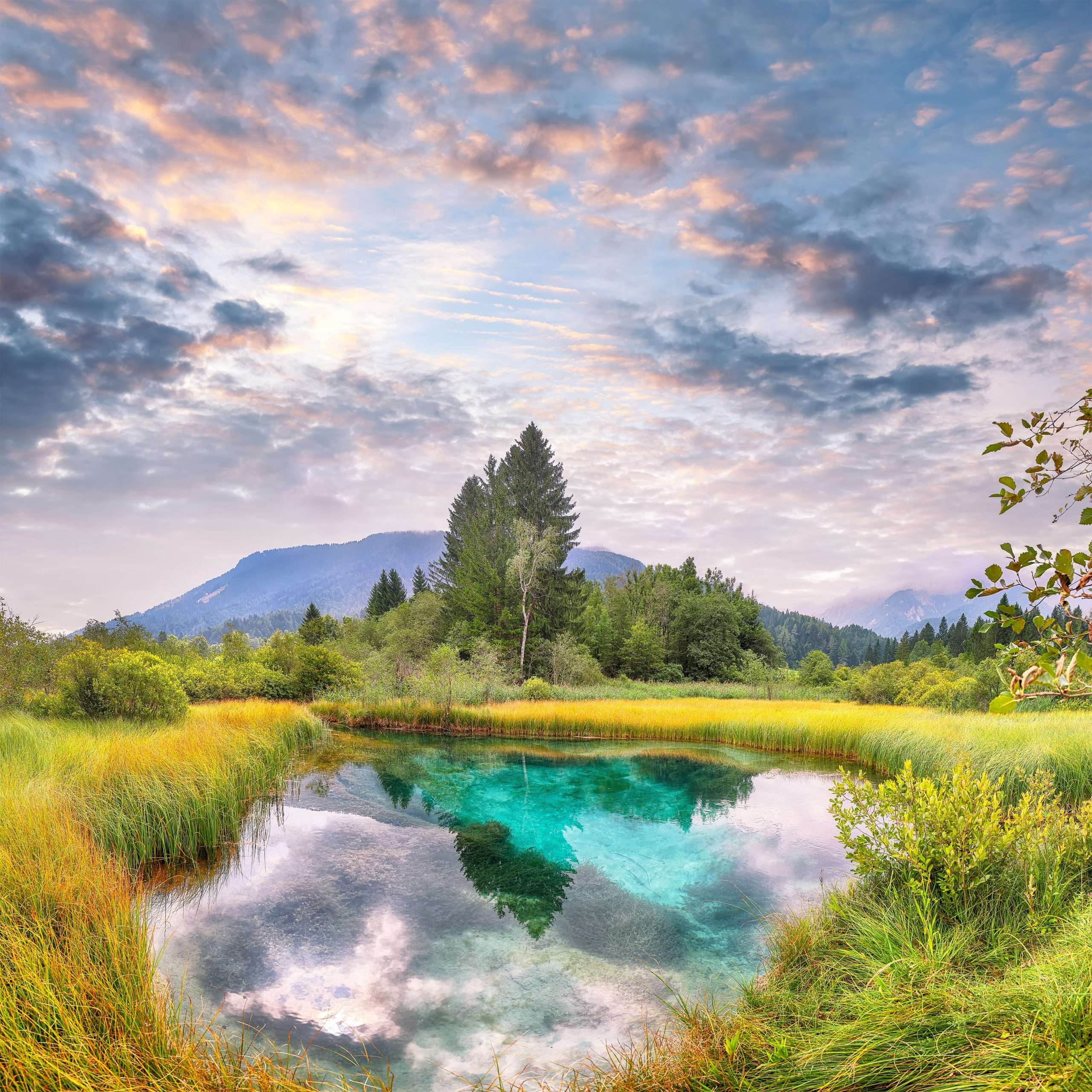 Amazing summer view on Zelenci lake with beautiful reflections i